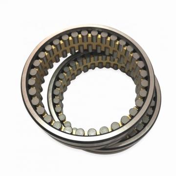 45 mm x 100 mm x 25 mm  FAG 21309-E1-K  Spherical Roller Bearings
