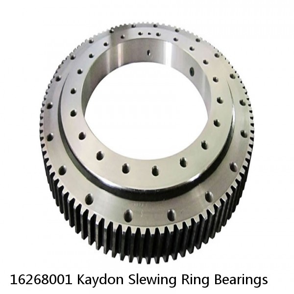 16268001 Kaydon Slewing Ring Bearings