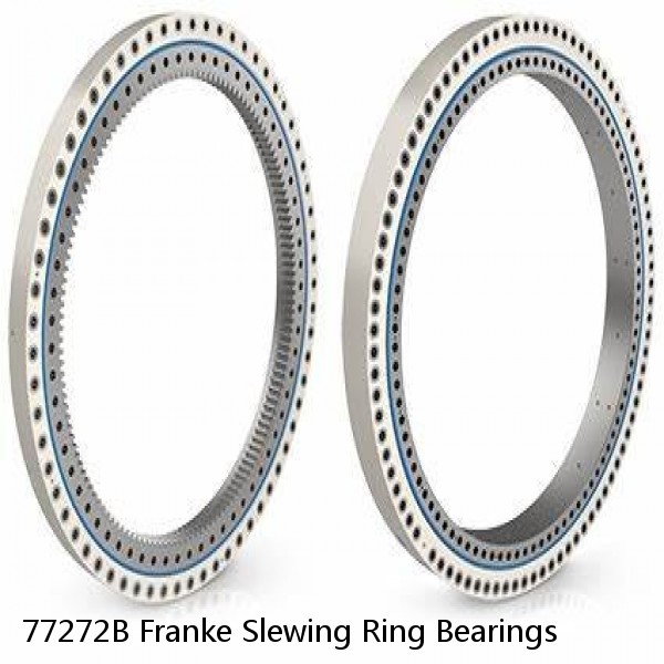 77272B Franke Slewing Ring Bearings