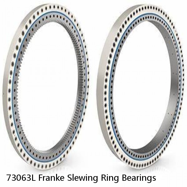 73063L Franke Slewing Ring Bearings