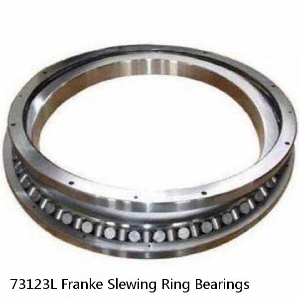 73123L Franke Slewing Ring Bearings