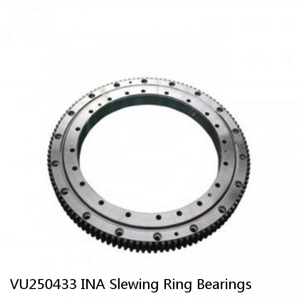 VU250433 INA Slewing Ring Bearings