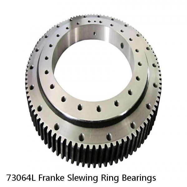 73064L Franke Slewing Ring Bearings