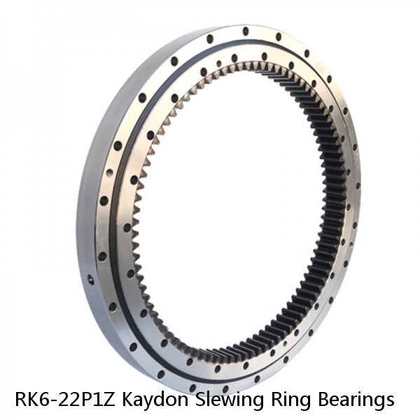 RK6-22P1Z Kaydon Slewing Ring Bearings