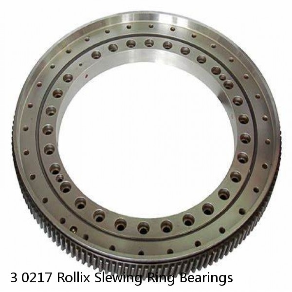 3 0217 Rollix Slewing Ring Bearings