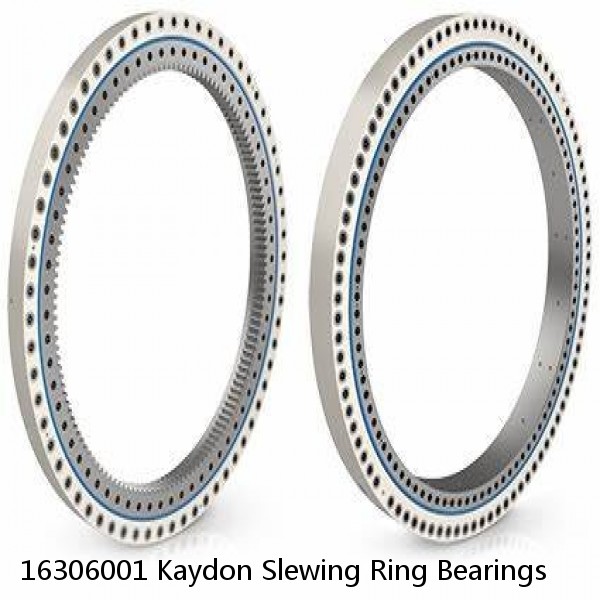 16306001 Kaydon Slewing Ring Bearings