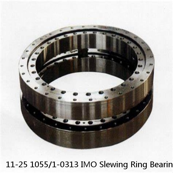 11-25 1055/1-0313 IMO Slewing Ring Bearings