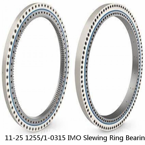 11-25 1255/1-0315 IMO Slewing Ring Bearings