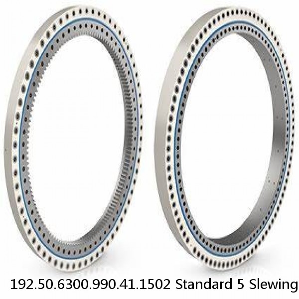 192.50.6300.990.41.1502 Standard 5 Slewing Ring Bearings