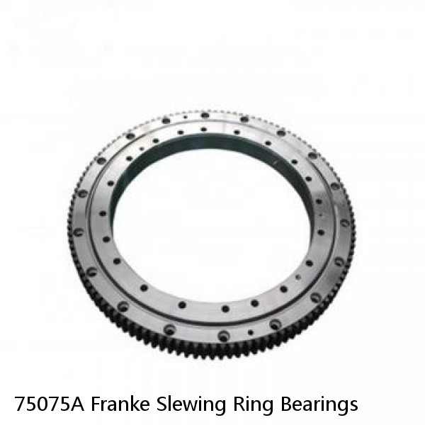 75075A Franke Slewing Ring Bearings