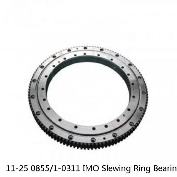 11-25 0855/1-0311 IMO Slewing Ring Bearings