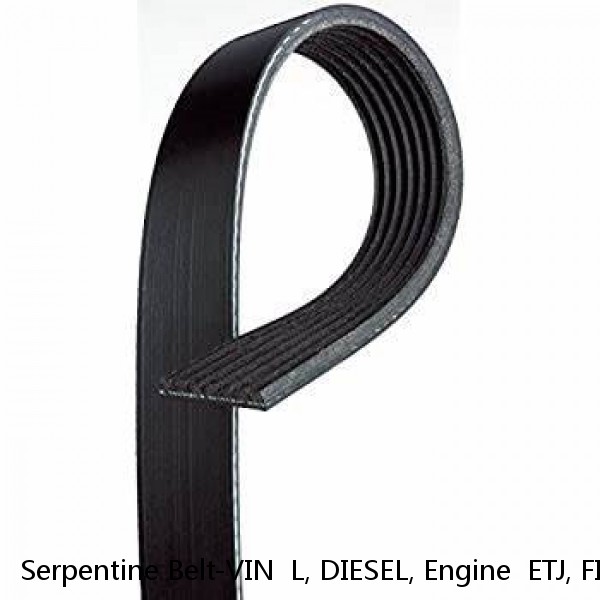 Serpentine Belt-VIN  L, DIESEL, Engine  ETJ, FI, Turbo, Bando 8PK3210